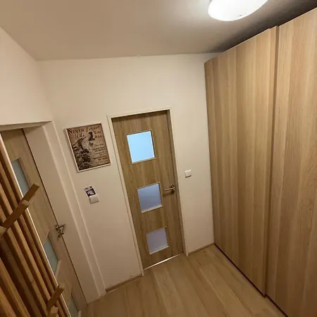 Wolf Apartment