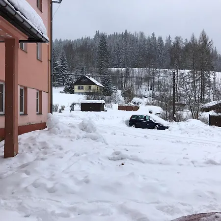 Wolf Apartment *